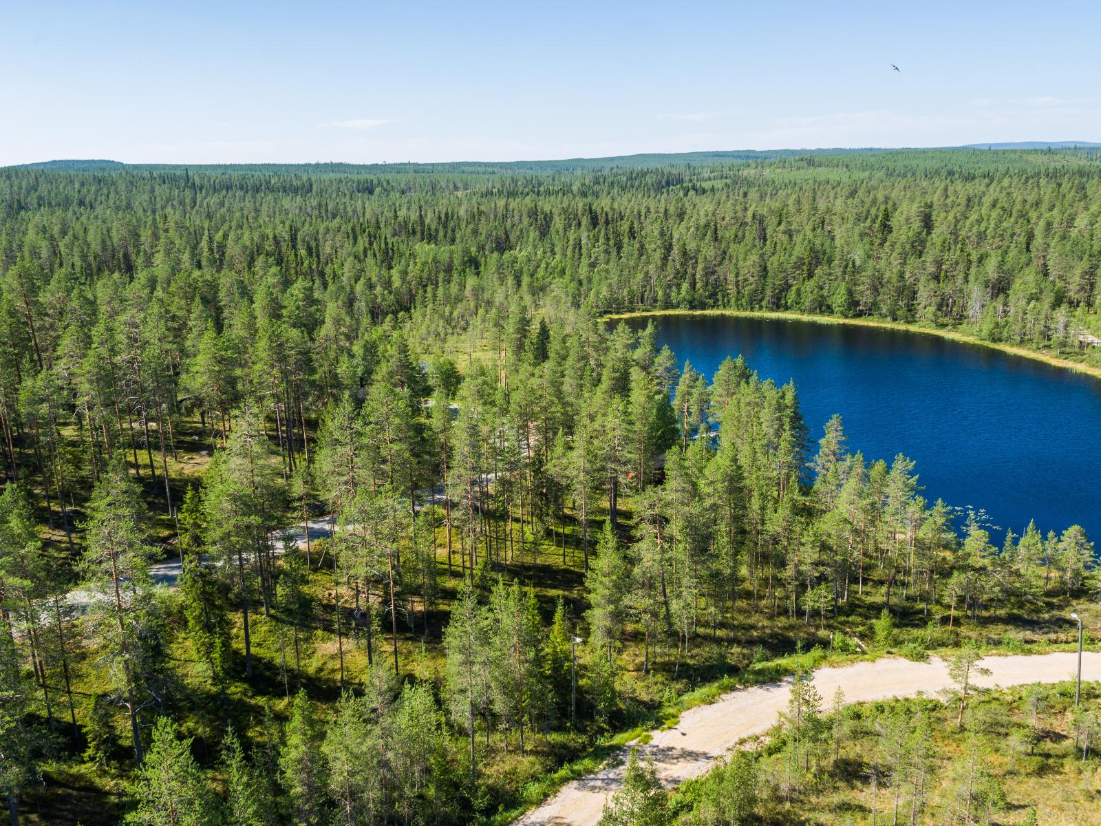 Tie kulkee havumetsässä lammen lähellä. Kesäinen ilmakuva.