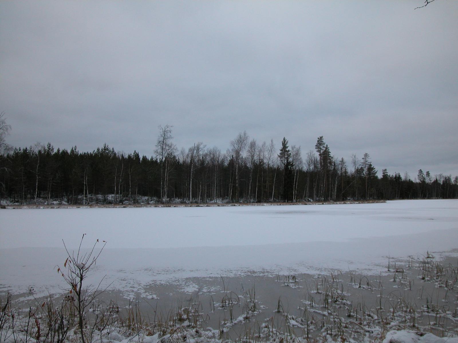 Jäätyneen järven pinnalla on lunta. Vastarannalla kasvaa mäntyjä ja koivuja.