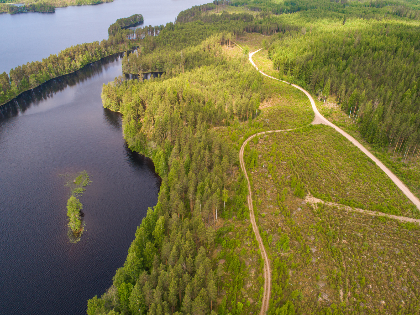 Metsä reunustaa järveä, jossa on saari ja pitkä kapea niemi. Tie kulkee hakkuuaukealla. Ilmakuva.