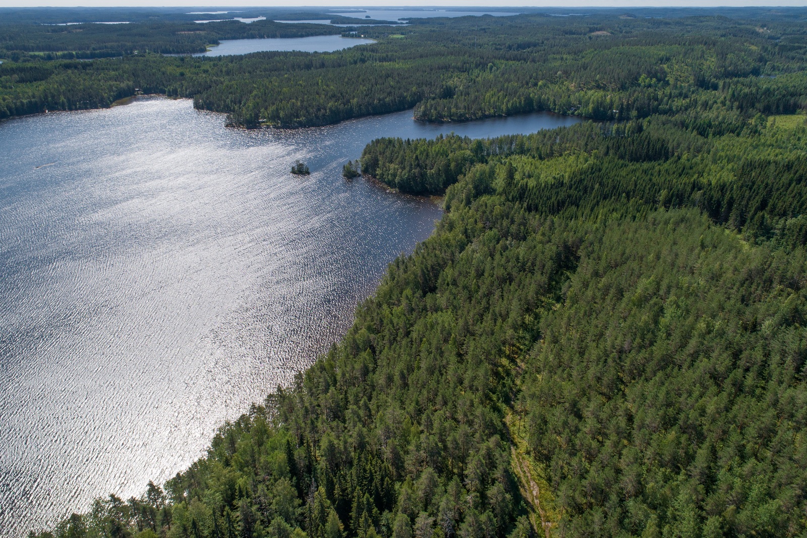 Kesämaisemassa laaja metsäalue reunustaa järveä. Horisontissa metsä- ja järvimaisemaa. Ilmakuva.