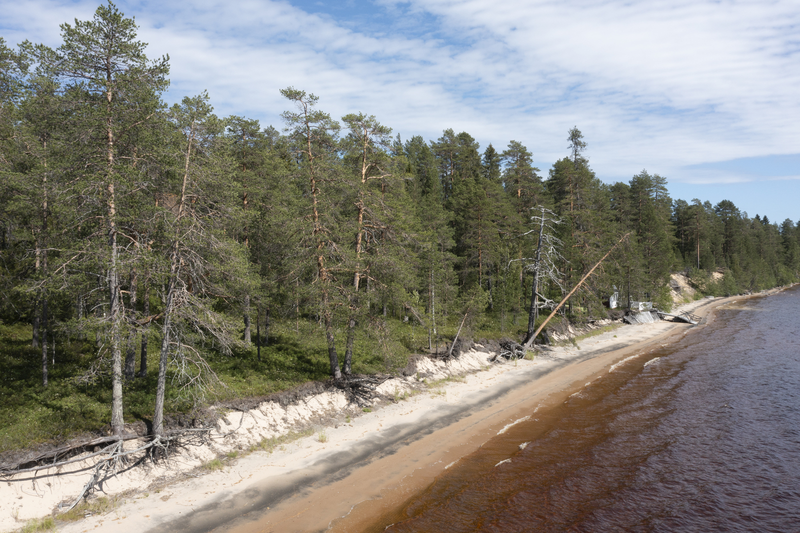 Kesäisessä järvimaisemassa hiekkarantaa reunustaa rantatörmällä kasvava mäntymetsä. Ilmakuva.