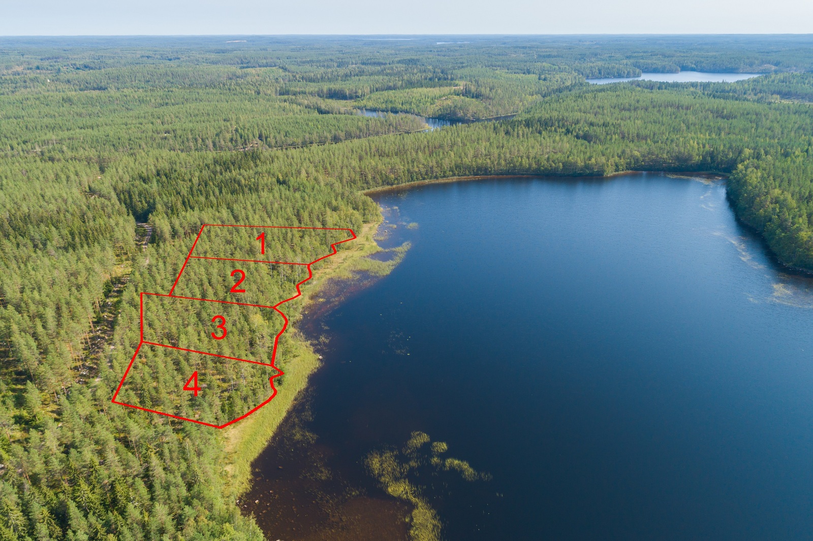 Neljän tontin kaavat piirrettynä järven rantaan. Ympäröivä metsä jatkuu horisonttiin. Ilmakuva.