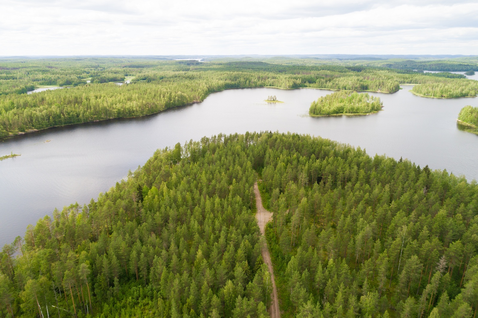 Kesäinen metsä reunustaa sokkeloista järveä. Etualan metsässä kulkee tie. Ilmakuva.