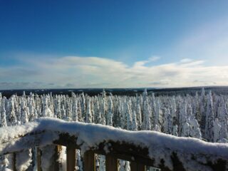 Lumisen kaiteen yli avautuu tykkyluminen metsämaisema. Sinisellä taivaalla on ohut pilvikerros.