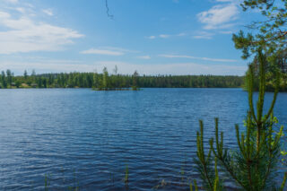 Oikealla havupuiden oksat reunustavat kesäistä järvimaisemaa. Vastarannalla on mökkejä.