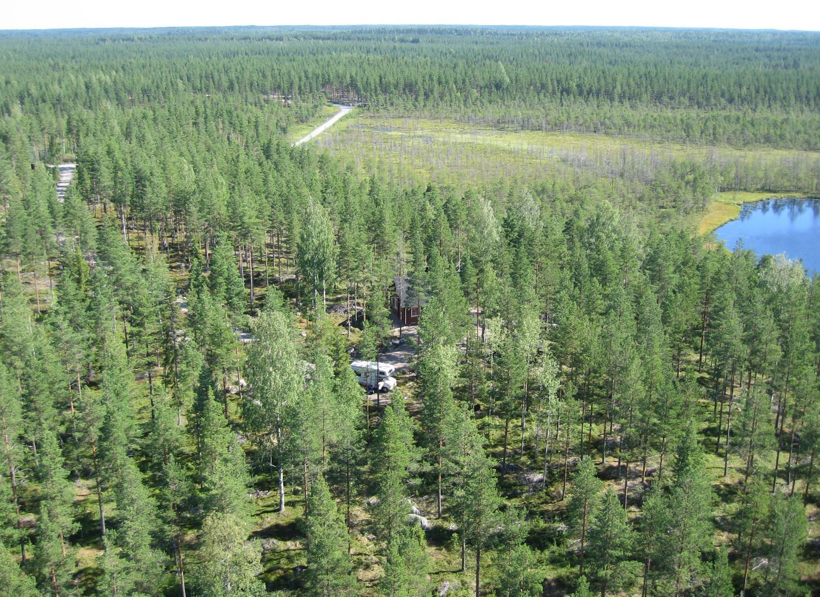 Mäntyvaltaisessa metsässä on mökki järven tuntumassa. Metsän takana tie kulkee suon ohi. Ilmakuva.