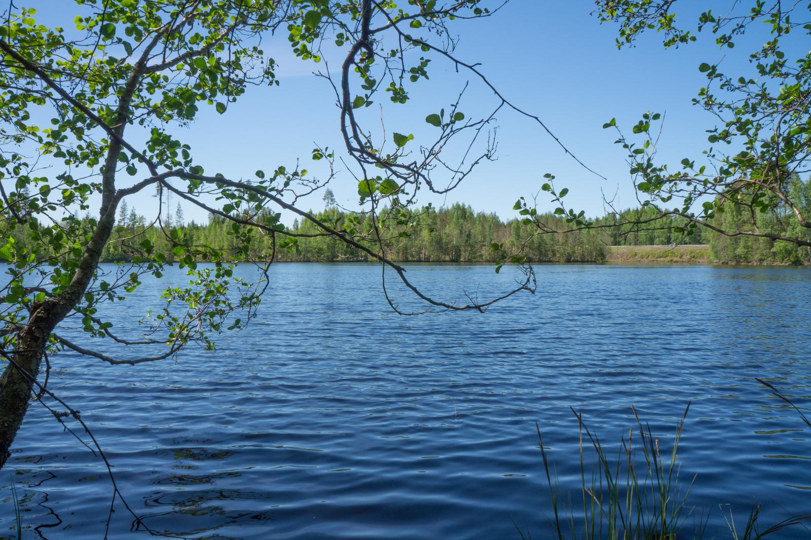 Näkymä tontin rannalta järvelle