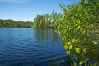 Näkymä tontin rannalta järvelle