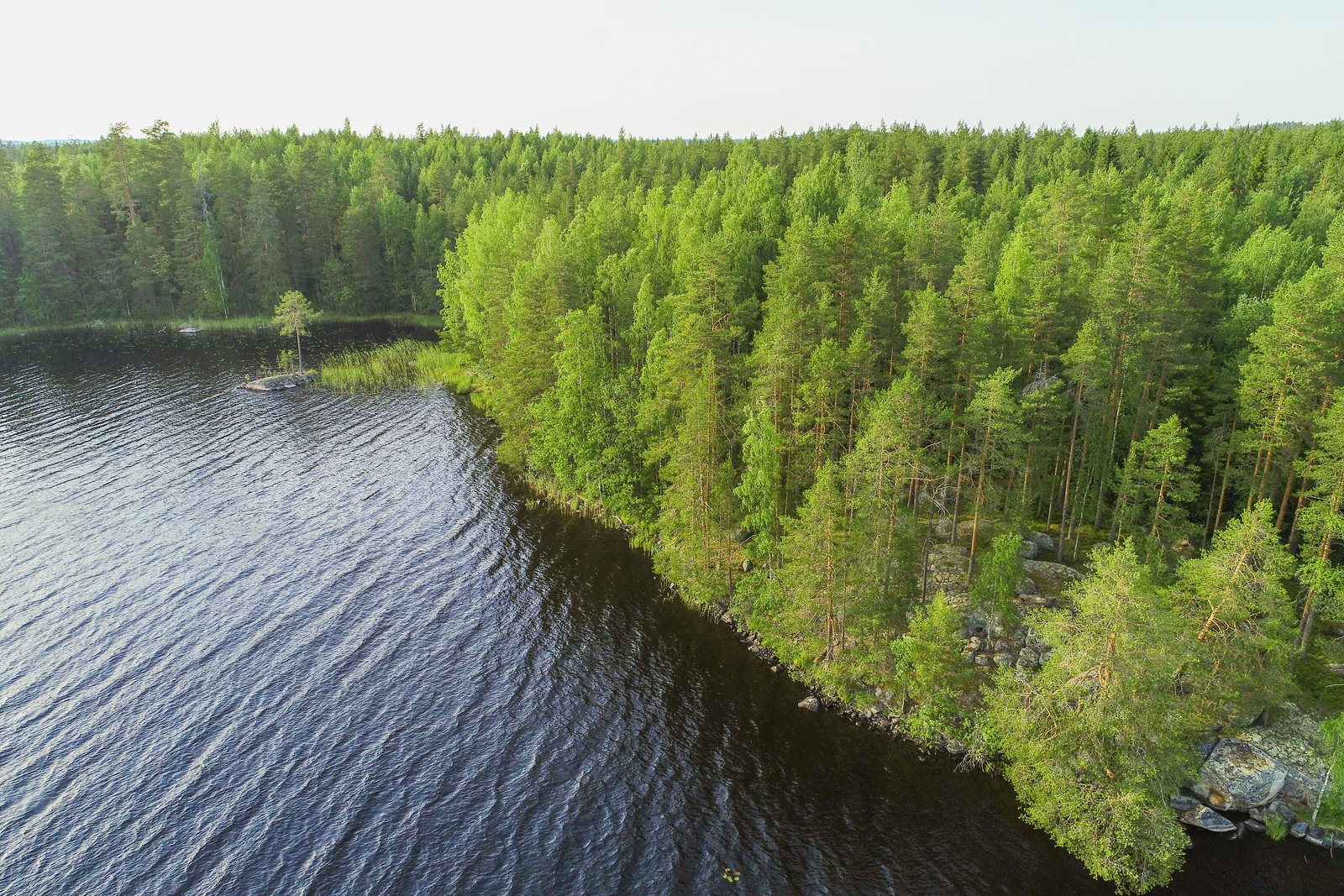 Saaressa kasvaa kesäinen sekametsä. Etualalla niemen kärjessä on rantakallio. Ilmakuva.