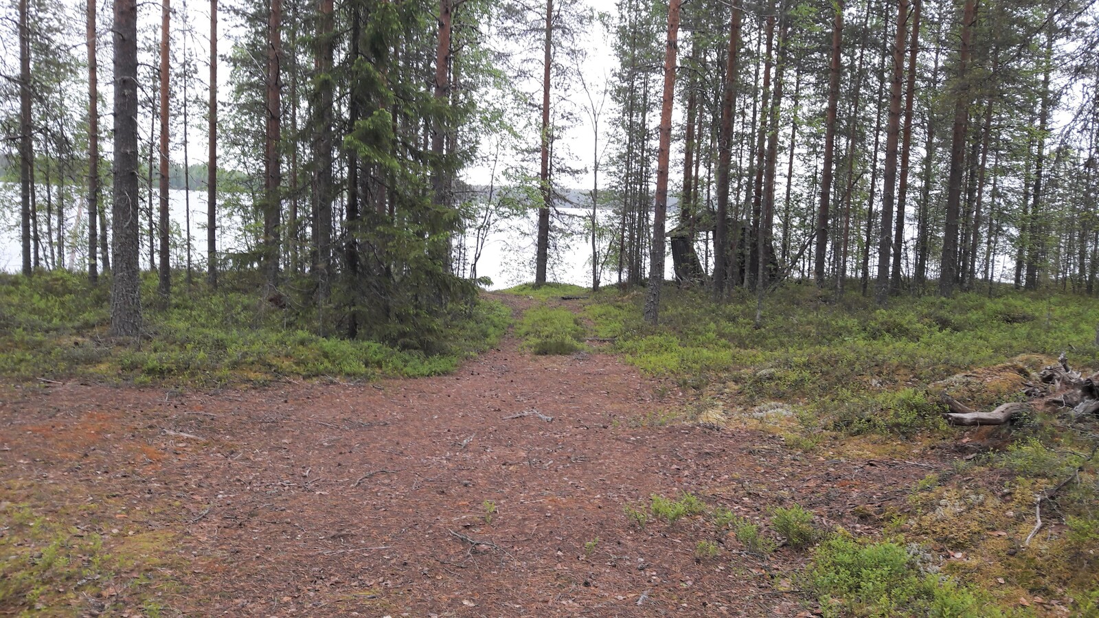 Tienpohja vie järvelle havupuuvaltaisen metsän läpi. Rannan tuntumassa on vino katos.