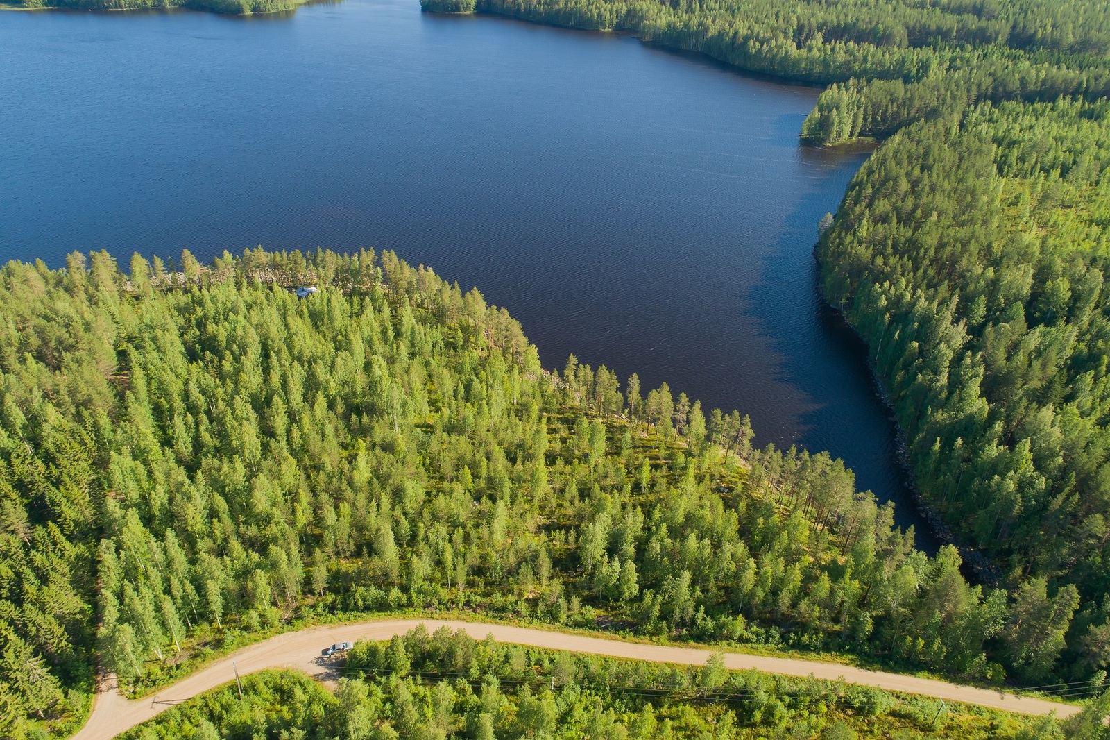 Kesäinen metsä reunustaa järveä auringonpaisteessa. Etualalla kulkee tie. Ilmakuva.