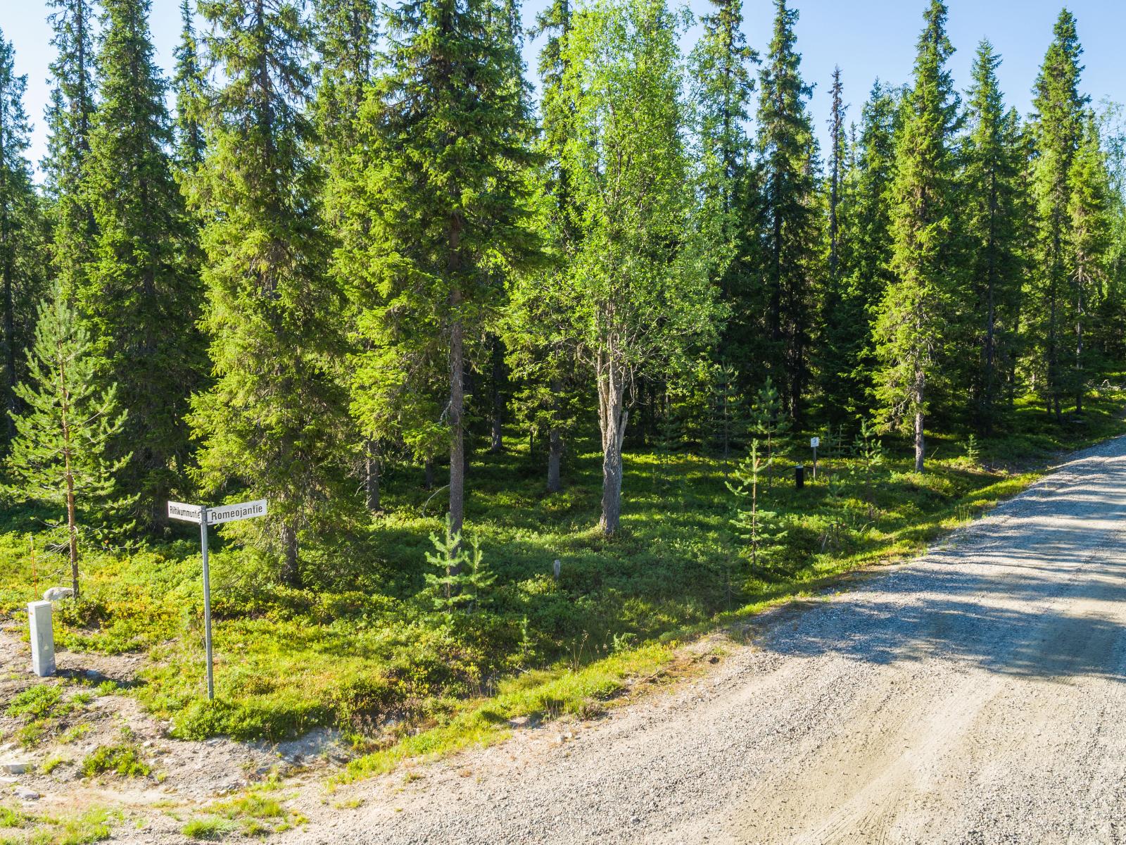 Tien varrelta alkavassa havumetsässä kasvaa myös lehtipuita. Tienviitta "Romeojantie".