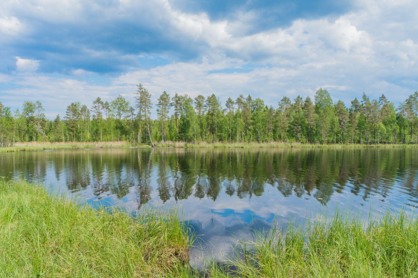 Vastarannan metsä ja poutapilvinen taivas heijastuvat järven pintaan. Etualalla on vesikasveja.
