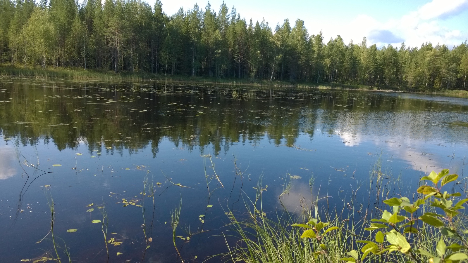 Kesäisessä järvimaisemassa vastarannan metsä ja puolipilvinen taivas heijastuvat veteen.