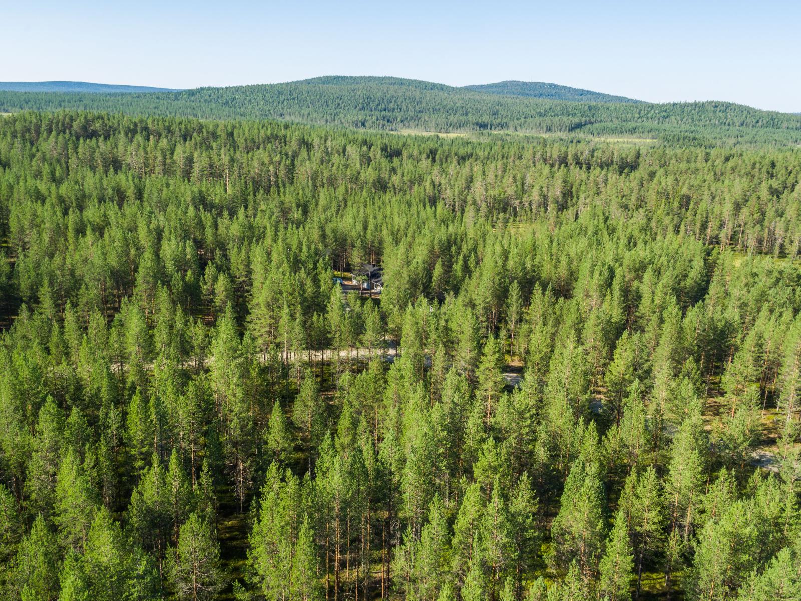 Hiekkatie kulkee kesäisessä mäntymetsässä. Horisontissa kohoaa vaaramaisema. Ilmakuva.