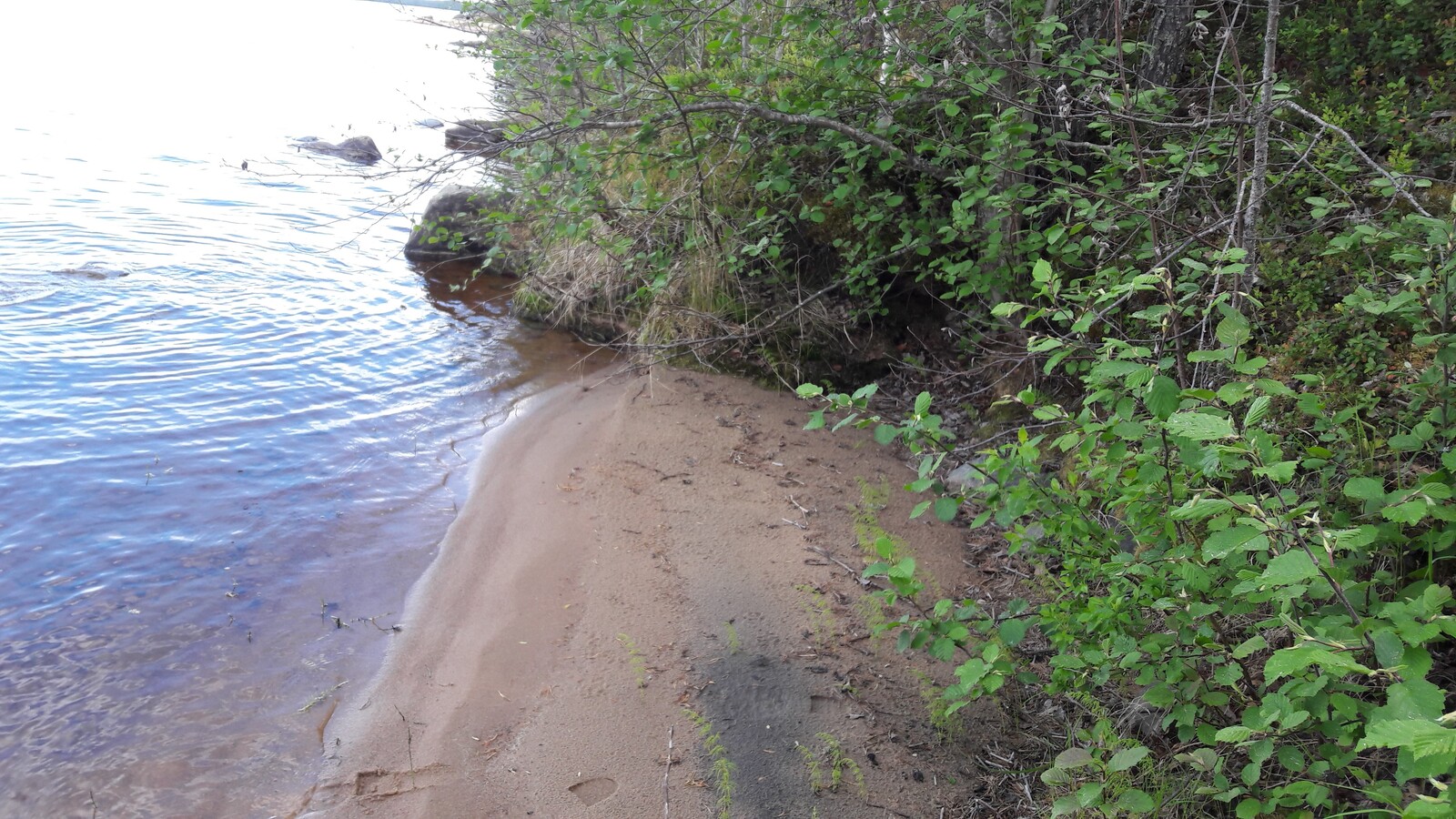 Hiekkarantaa reunustaa matala rantatörmä, jolla kasvaa lehtipuita. Rantavedessä on kiviä.