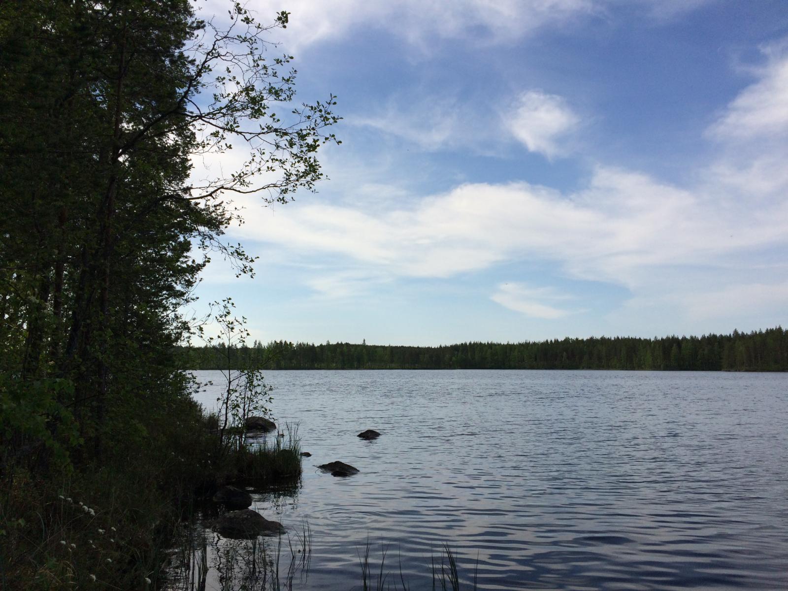 Oikean laidan puut reunustavat kesäistä järvimaisemaa. Rantavedessä on kiviä ja vesi väreilee.