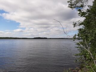 Oikean laidan lehtipuut reunustavat kesäistä järvimaisemaa. Taivas on puolipilvinen.