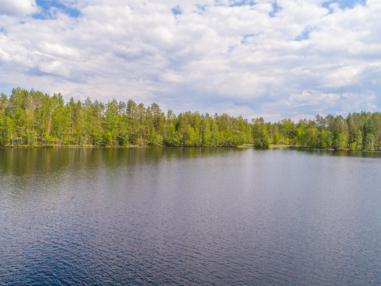 Järven vastarannalla kasvaa kesäinen sekametsä ja taivaalla on poutapilviä.