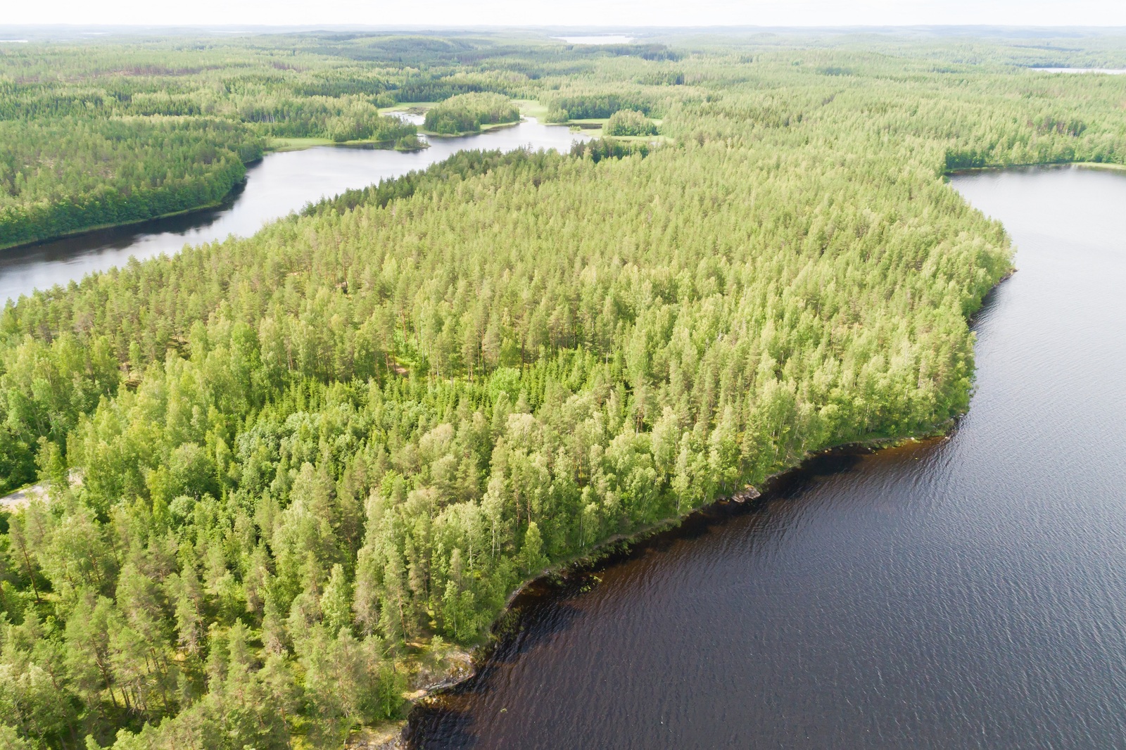 Ilmakuvassa horisonttiin ulottuvien metsäalueiden molemmilla puolilla on vesistöä.