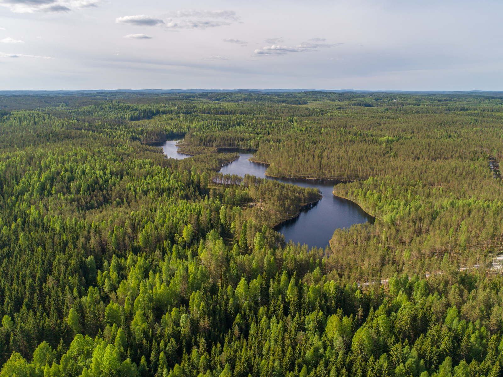 Kesämaisemassa pitkulainen, mutkitteleva järvi on laajojen metsäalueiden keskellä. Ilmakuva.