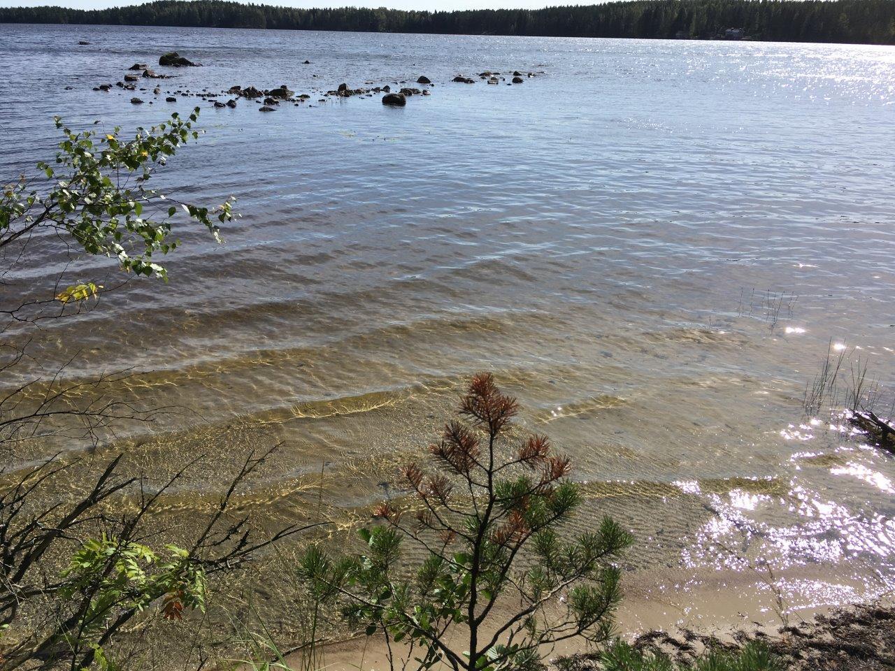 Kesäisessä järvimaisemassa vesi laineilee hiekkarannalla. Rantavedessä rannan tuntumassa on kiviä.