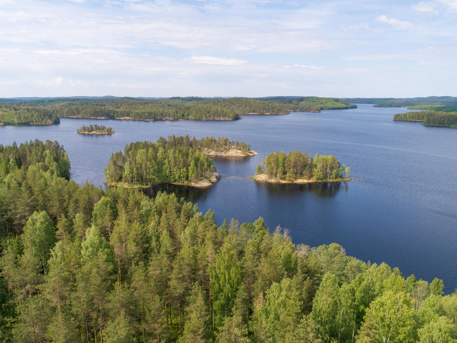 Metsät reunustavat horisonttiin jatkuvaa sokkeloista järveä, jossa on kallioisia saaria. Ilmakuva.