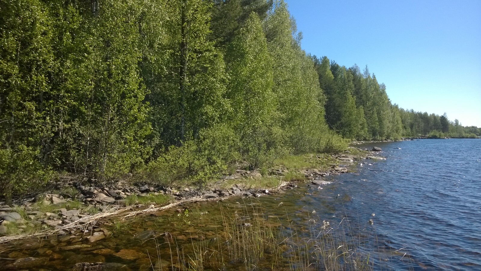 Vehreä sekametsä reunustaa järveä oikealle kaartuvassa, kivisessä rantaviivassa.