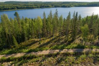 Aurinko paistaa kesäiseen sekametsään, jonka takana siintää järvi. Etualalla kulkee tie. Ilmakuva.