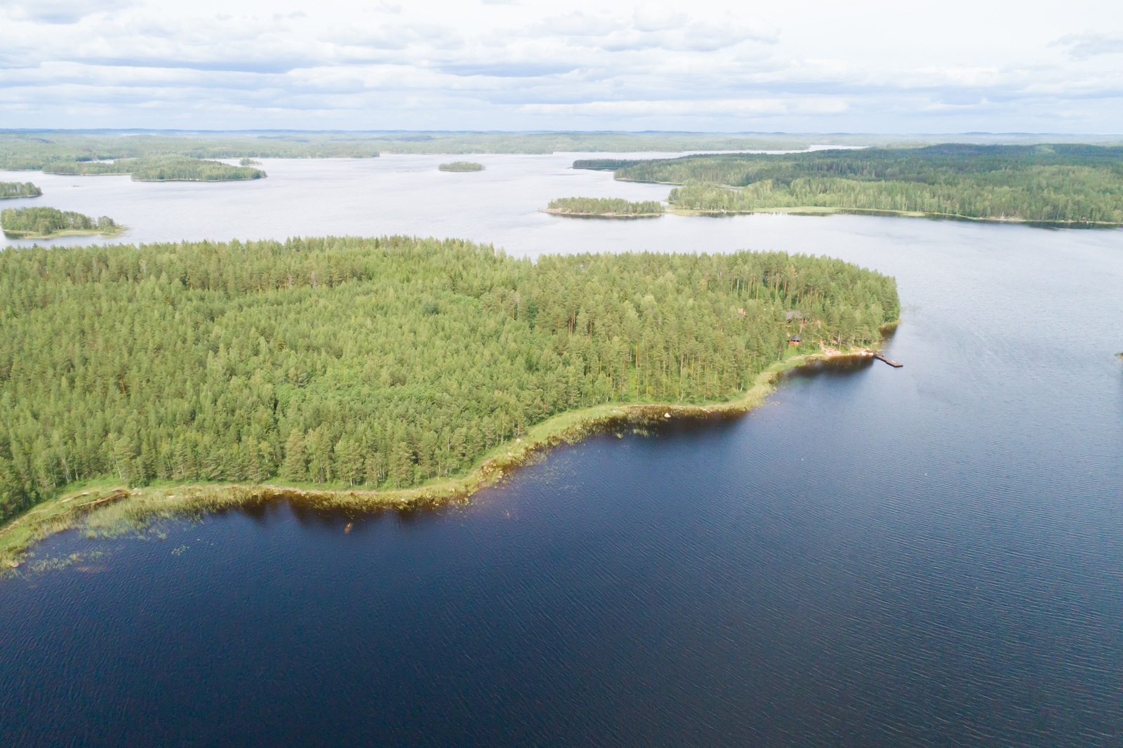 Kesämaisemassa on laaja metsäinen niemi sokkeloisen järven keskellä. Ilmakuva.