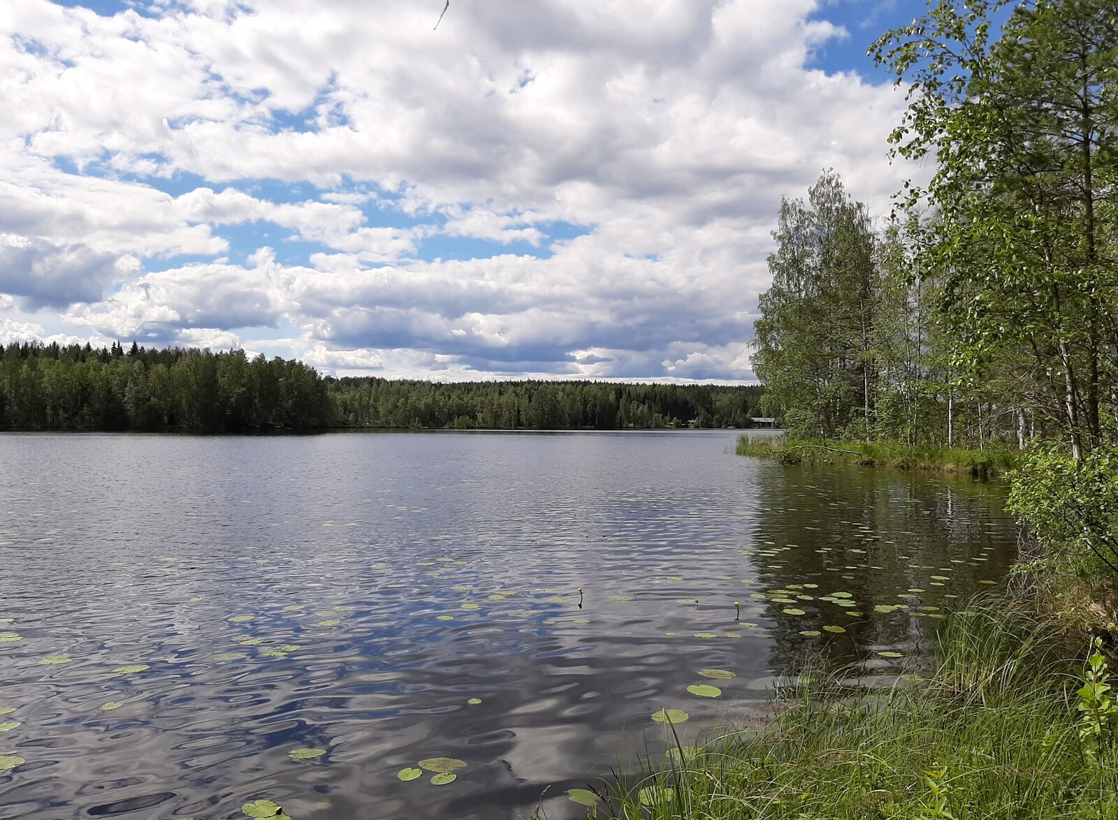 Kesäinen sekametsä reunustaa järveä ja puolipilvinen taivas heijastuu veteen.