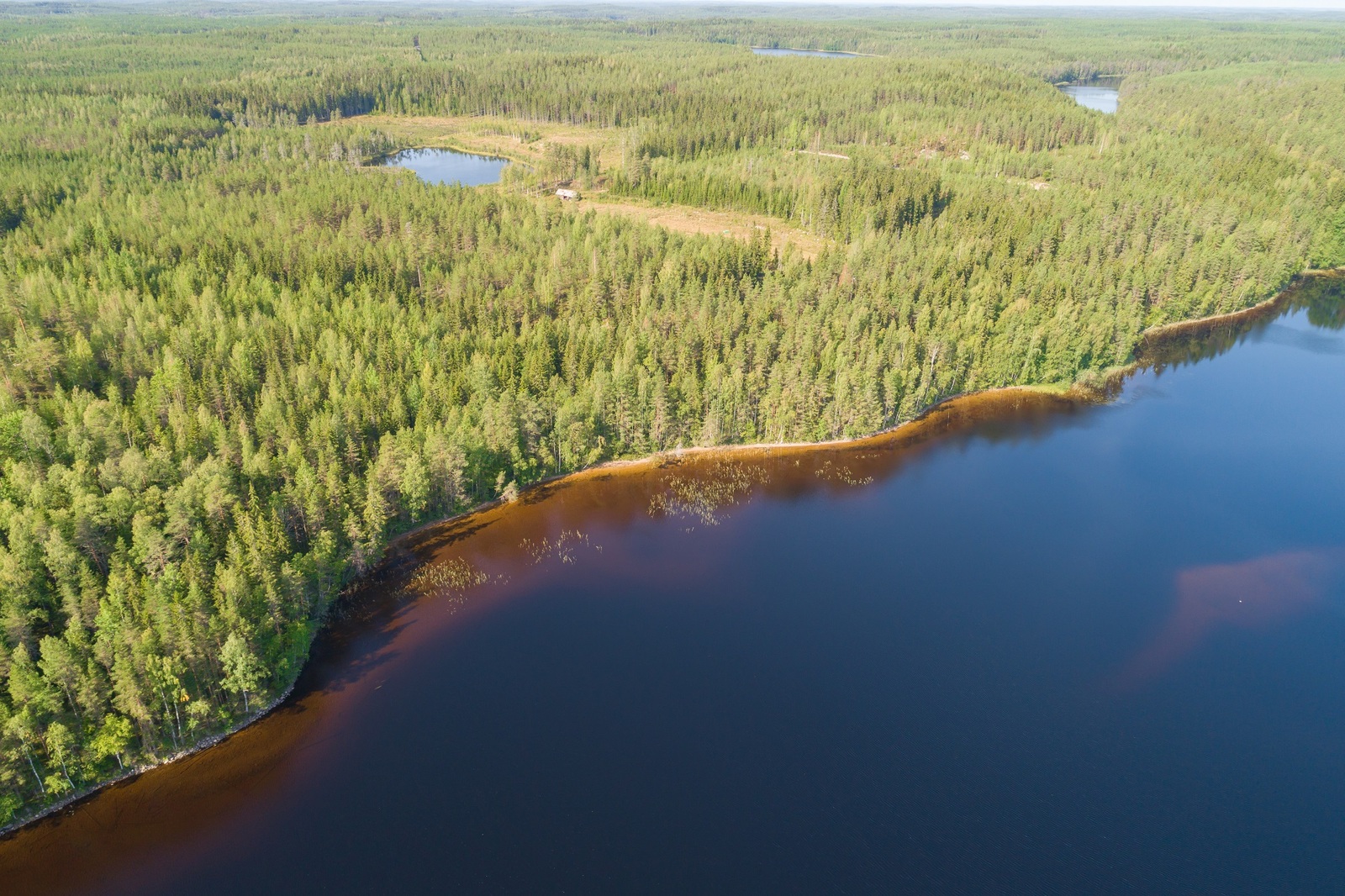 Kesäinen sekametsä reunustaa järveä. Laaja metsäalue jatkuu horisonttiin. Ilmakuva.