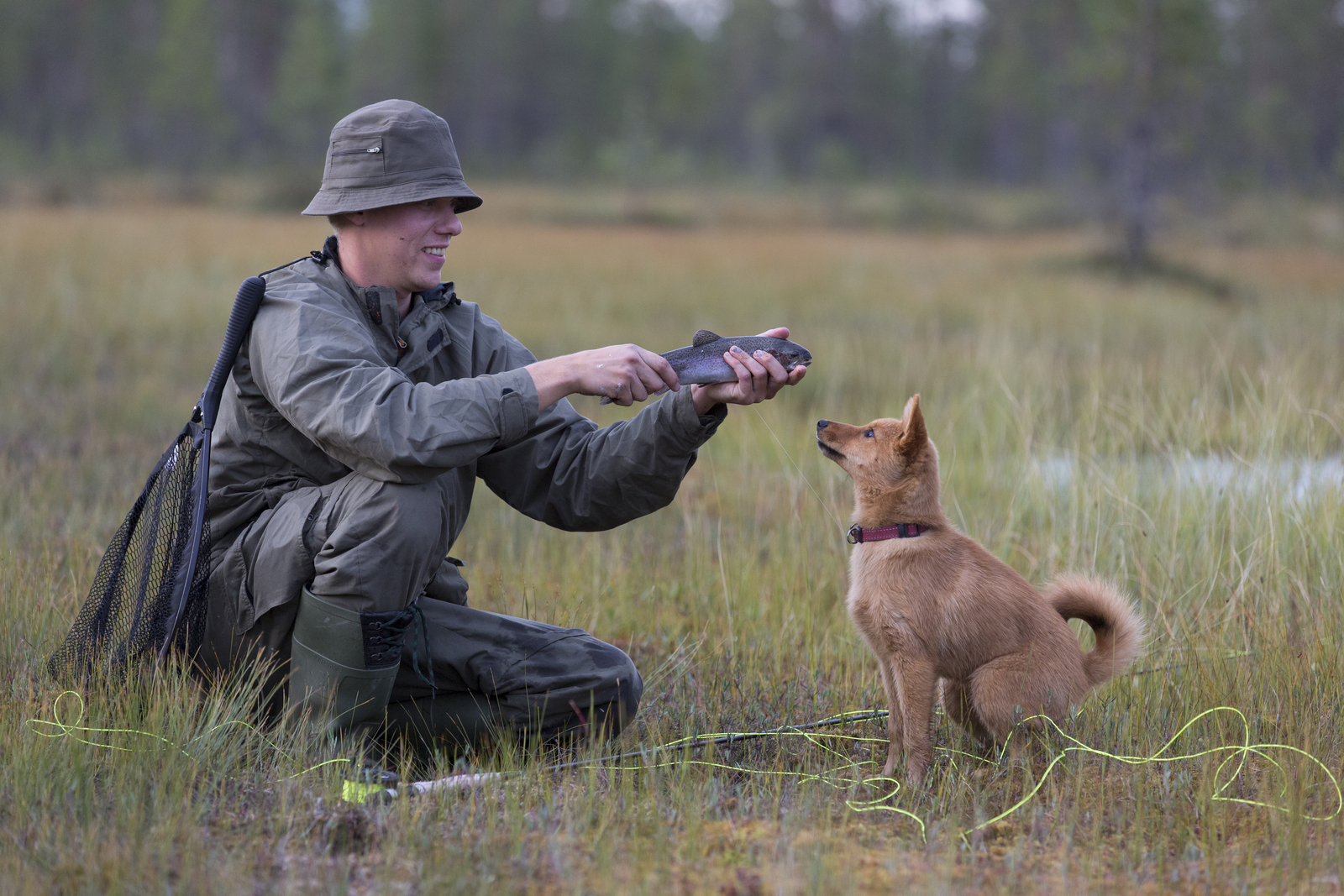 Kyykistynyt kalastaja esittelee saalistaan suomenpystykorvalle suolla. Vapa on maassa.