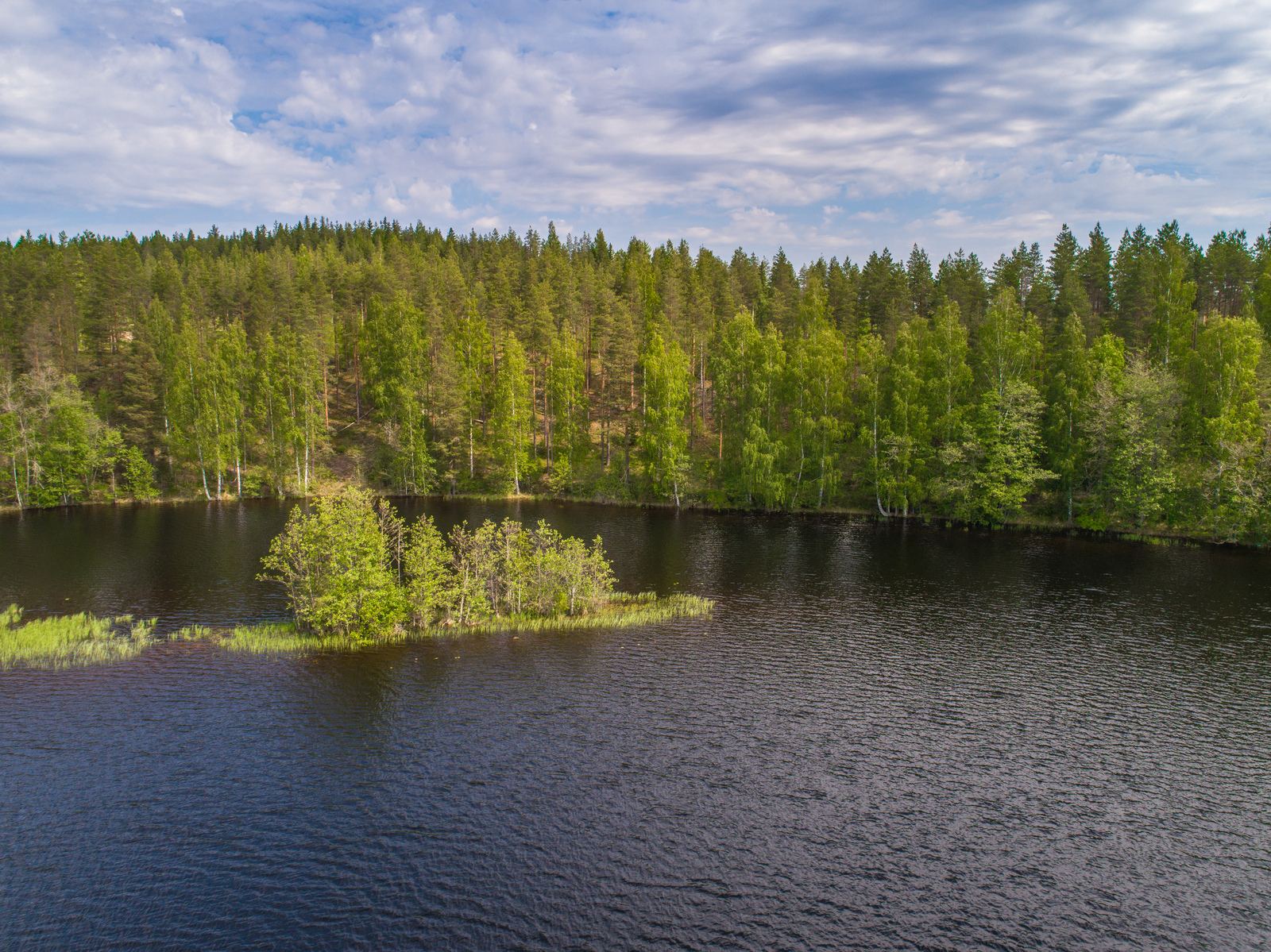 Rinteessä kasvava kesäinen sekametsä reunustaa järveä, jossa on saari. Ilmakuva.