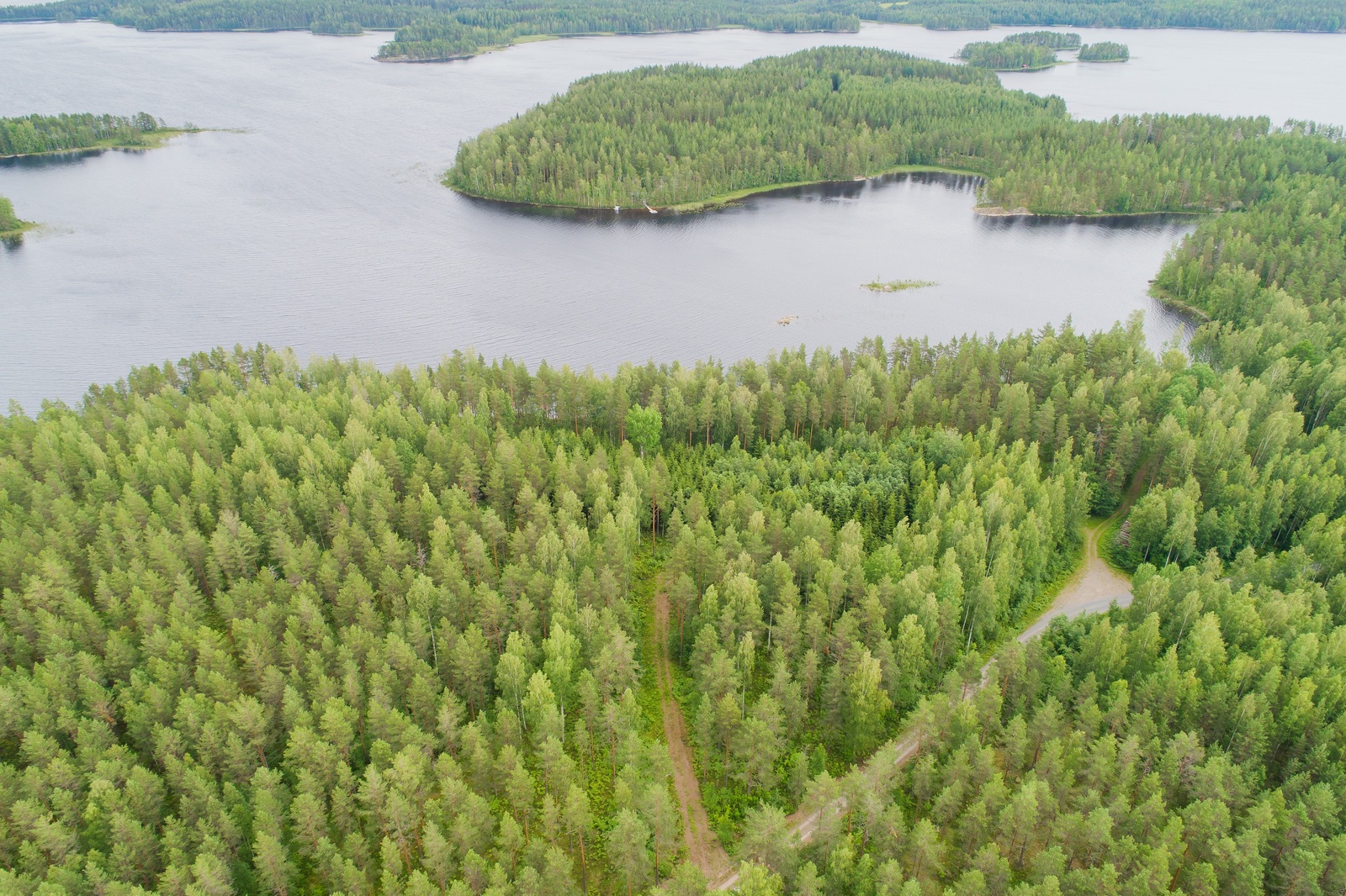 Kesäinen metsä reunustaa sokkeloista järveä. Etualan metsässä kulkee tie. Ilmakuva.