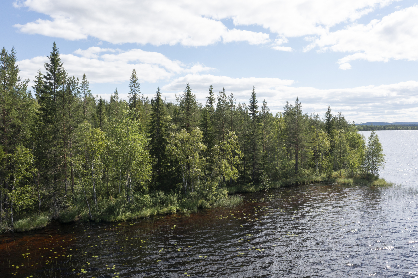 Ilmakuva järveltä tontille