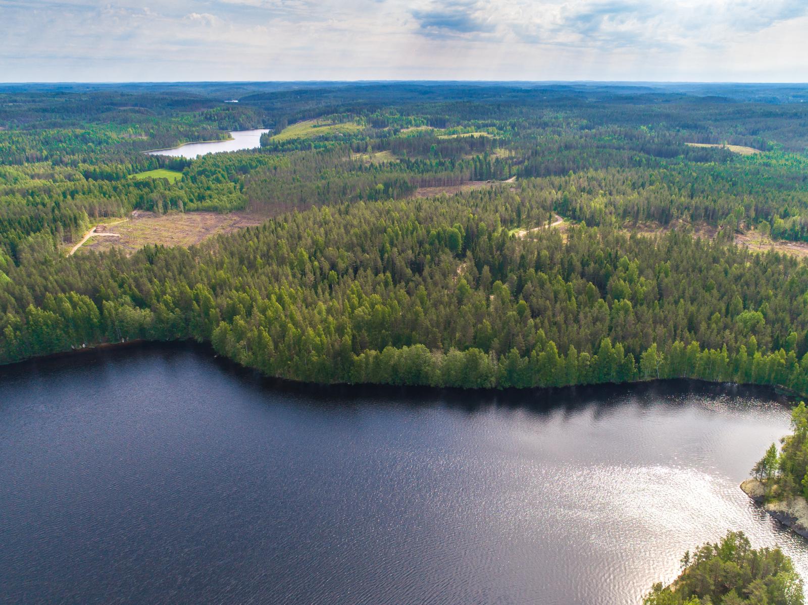 Horisonttiin jatkuva metsä reunustaa etualan järveä. Vesi kimmeltää auringonvalossa. Ilmakuva.