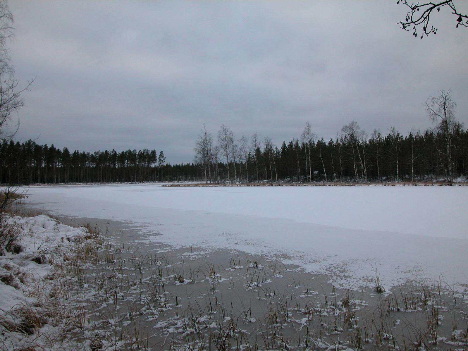 Jäätyneen järven pinnalla on lunta. Vastarannalla kasvaa mäntyjä ja koivuja.