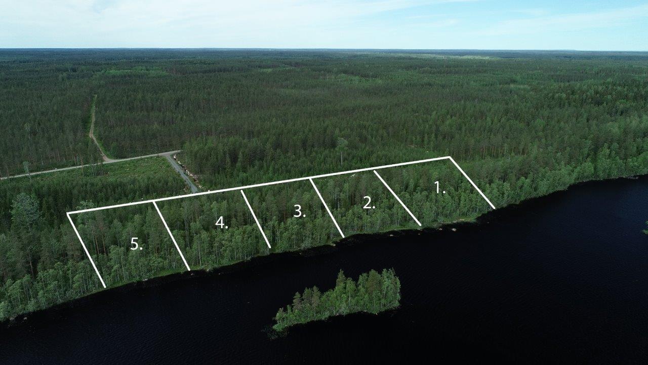 Viiden tontin kaavat piirrettynä metsään järven rantaan. Etualalla on saari. Ilmakuva.