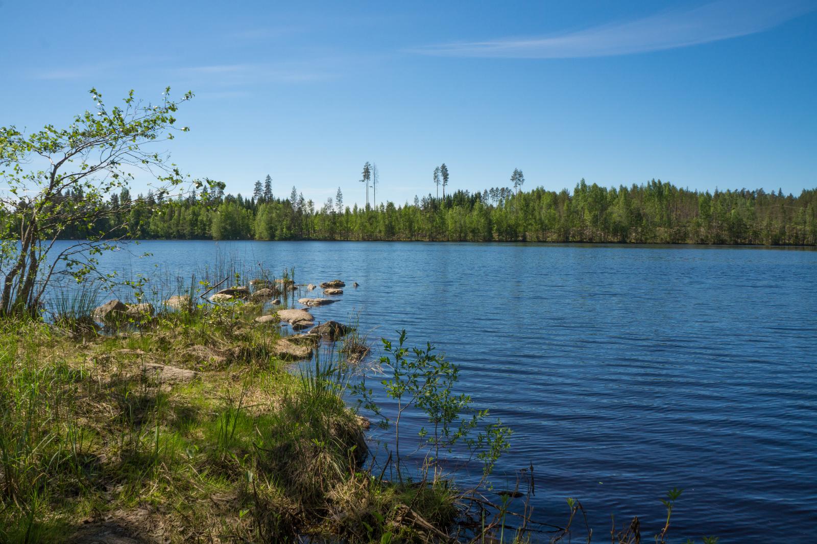 Näkymä tontin rannalta järvelle