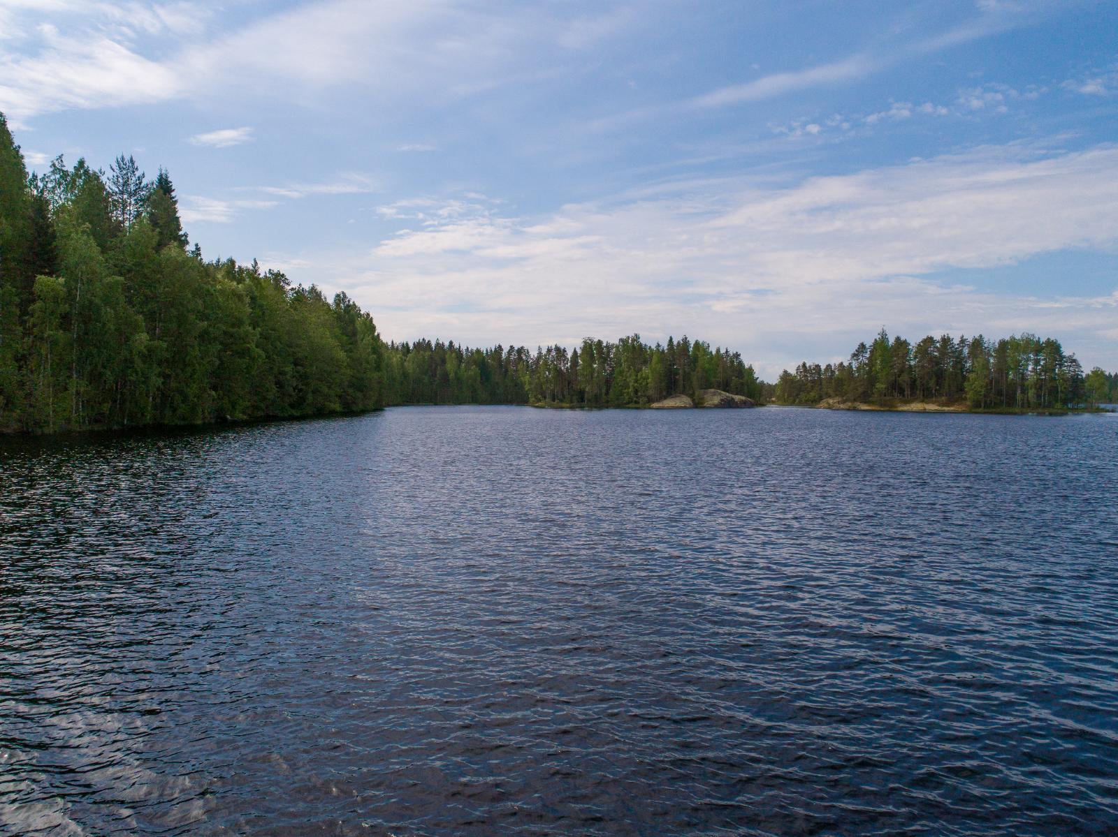 Kesämaisemassa sekametsä reunustaa järven oikealle kaartuvaa rantaviivaa. Rannoilla on kallioita.