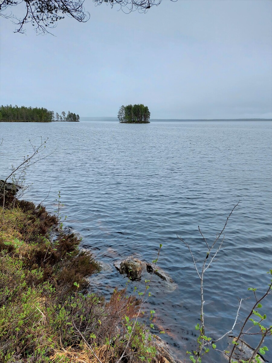 Kivisestä rantaviivasta avautuu näkymä järvelle, jonka keskellä on saari.