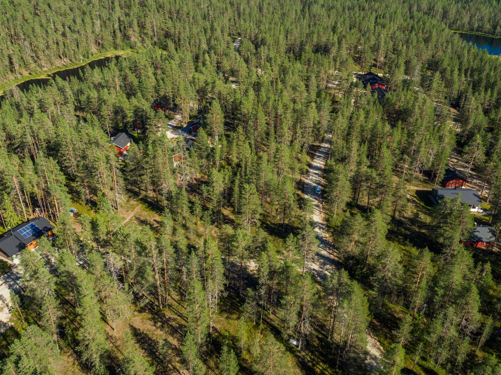 Mökkitie kulkee mäntymetsässä. Yhden mökin katolla on aurinkopaneelit. Taka-alalla lampia. Ilmakuva.