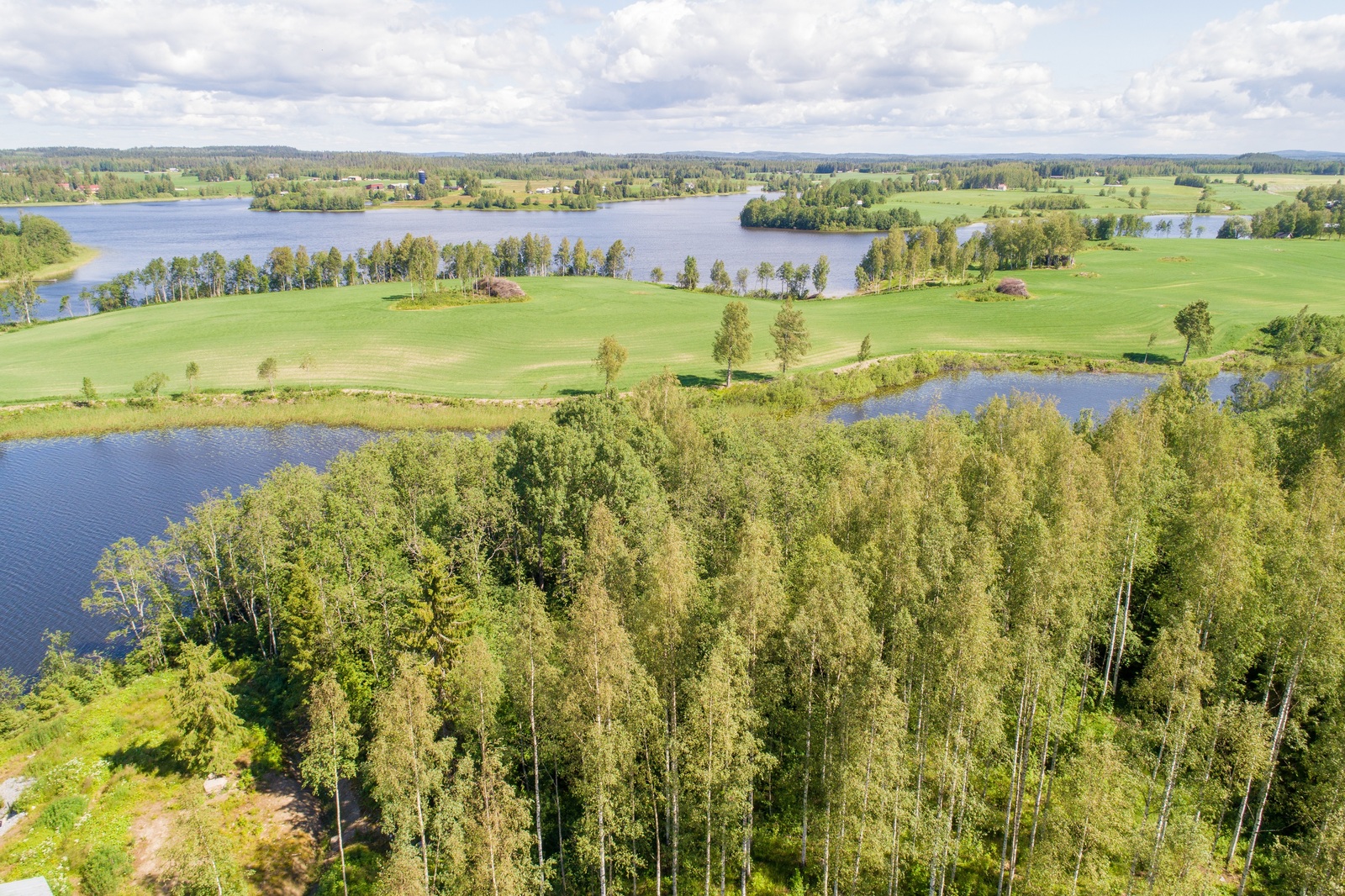 Kesämaisemassa järven rannoilla vaihtelevat metsä ja golfkenttä. Ilmakuva.