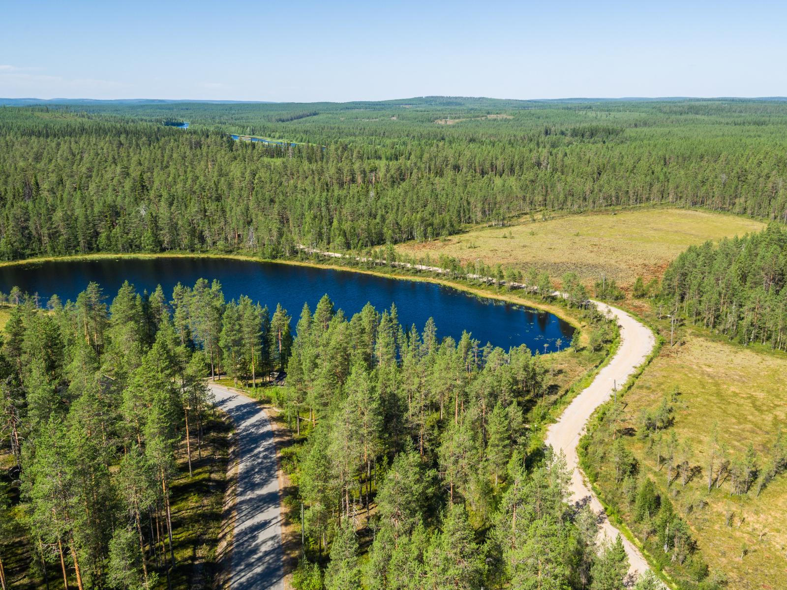 Metsälammen molemmilla puolilla kulkee tie. Lammen takana on suo. Kesäinen ilmakuva.