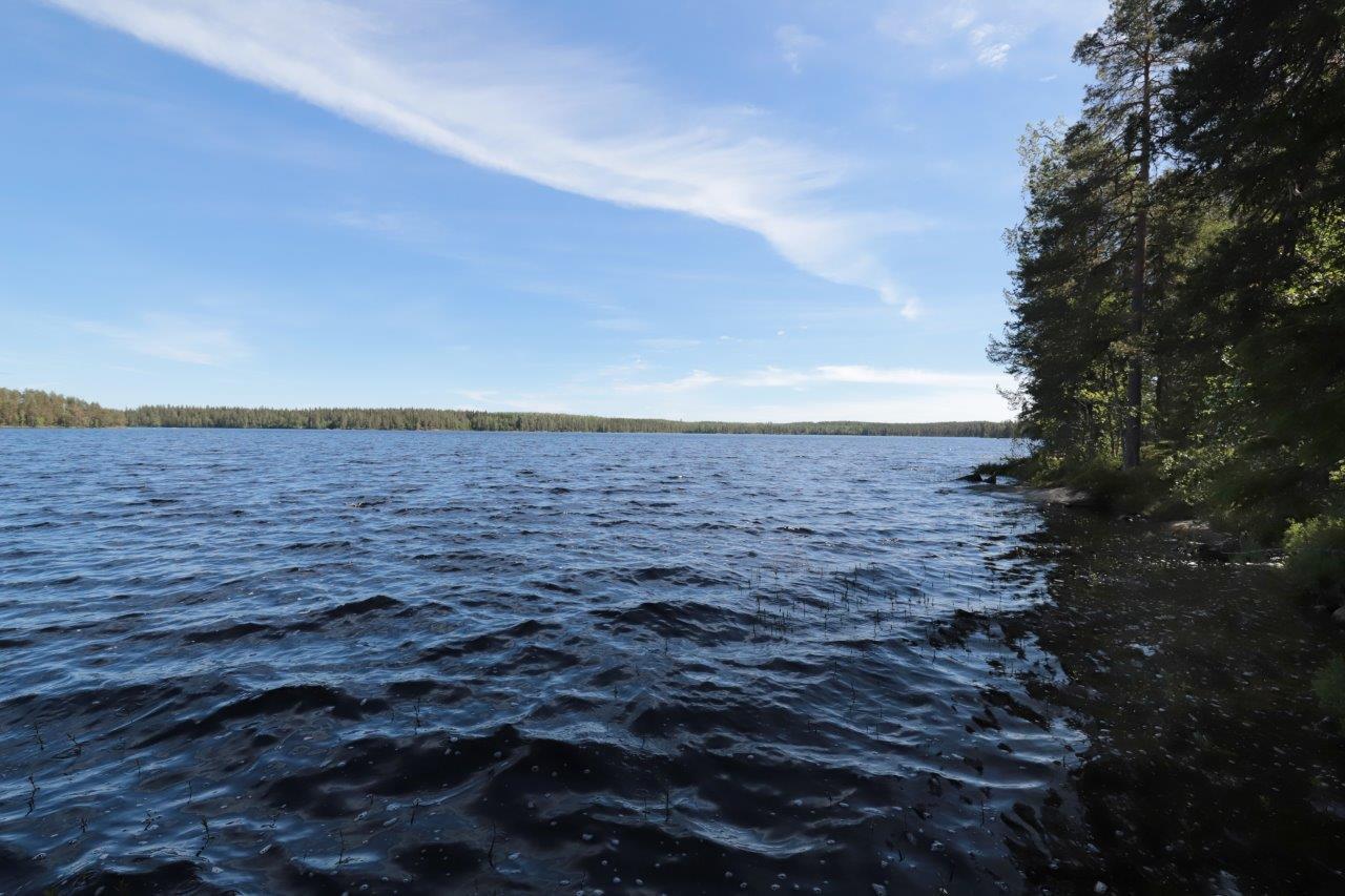 Kesämaisemassa järven pinta laineilee ja oikealla kasvaa sekametsää rannalla.