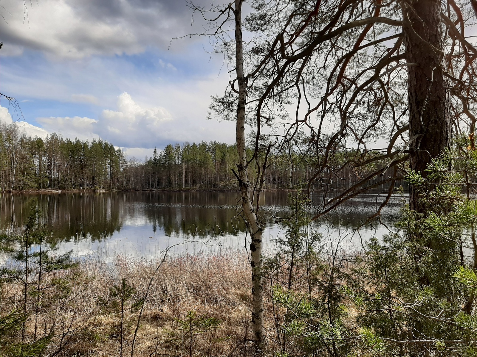 Näkymä rannalta järvelle