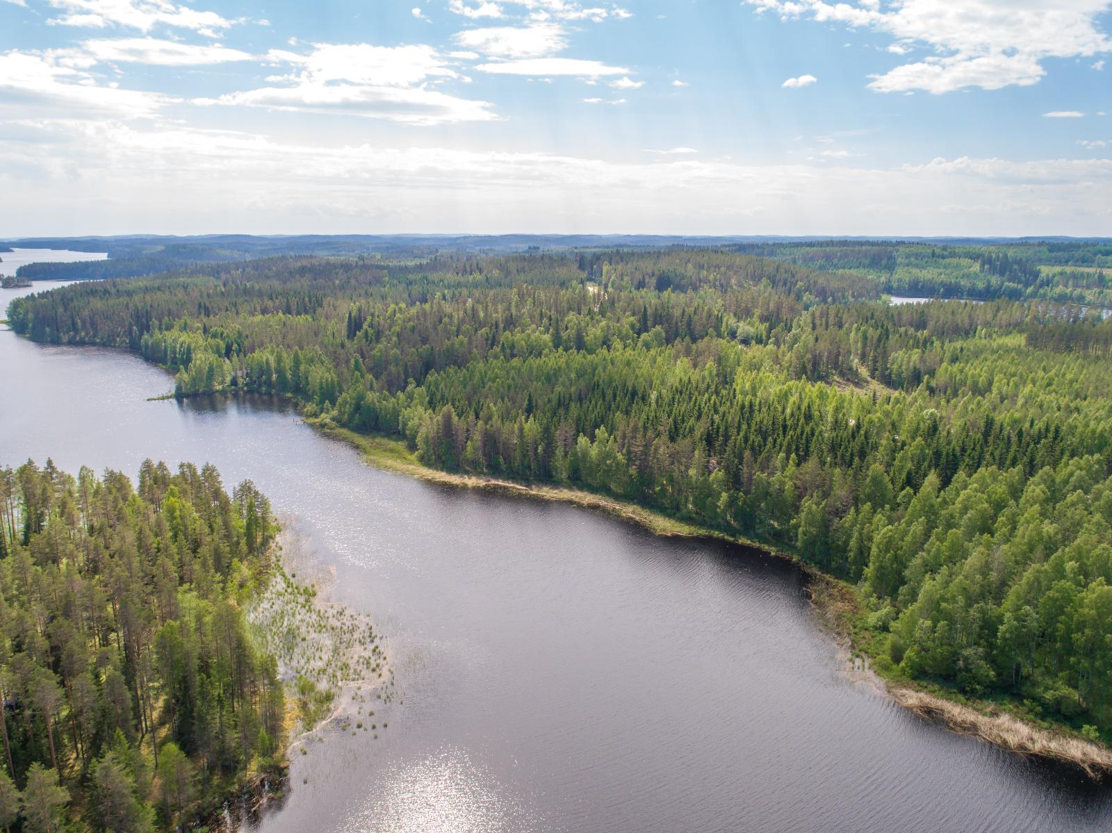 Kesämaisemassa horisonttiin jatkuva metsäalue reunustaa pitkulaista järveä. Ilmakuva.