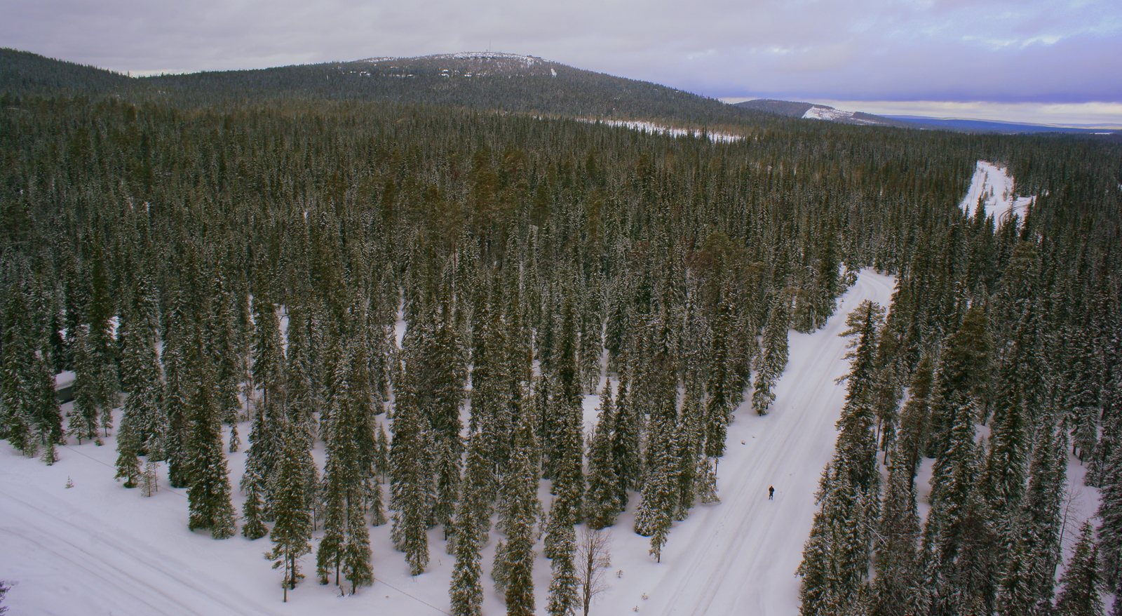 Hiihtäjä kulkee ladulla lumipeitteisessä metsässä. Horisontissa kohoaa tunturimaisema. Ilmakuva.