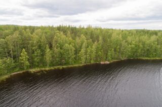 Kesäisen vehreä sekametsä reunustaa järveä. Ilmakuva.